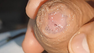 admin added